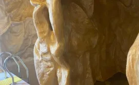 Котедж Шале "Анемона"