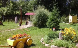 Приватний сектор у пана Івана