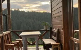 Котедж Карпатська Модринка