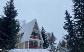 Апартаменти Freeman