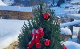 Котедж Дикий зруб