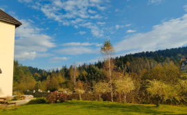 Міні-готель Рудий Лис