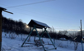 Приватна садиба Дикий Ліс