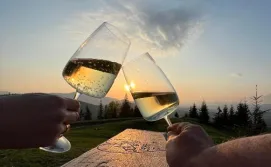 Міні-готель BerBen House