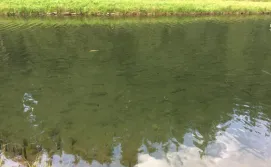 Вілла PidStromom