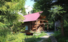 Готель Горянин