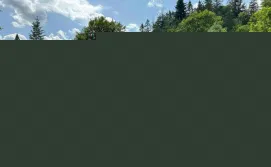 Комплекс для відпочинку Під лісом