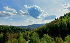 Котедж Близнята