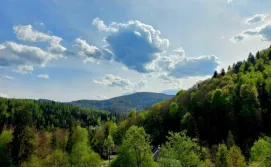 Котедж Близнята