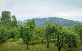 Котедж Кремена