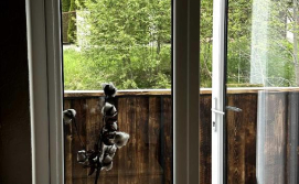 Приватна садиба Деревій