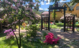 Готель Гірська Тиса