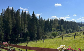 Котедж "Місце Сили"