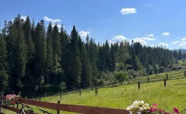 Котедж "Місце Сили"