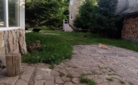 Приватна садиба Колорит