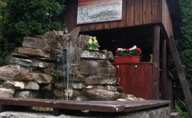 Приватна садиба Золота рибка