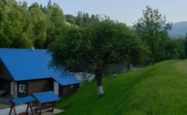 Приватна садиба Відпочинок в Карпатах