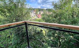 Гостьовий будинок Над Прутом