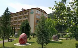 Санаторій Гірська Тиса
