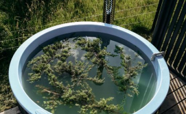 Будиночок Blog House Resort