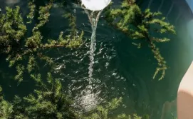 Будиночок Blog House Resort