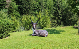 Котедж "Райський куточок"