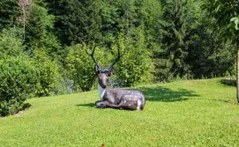 Котедж "Райський куточок"