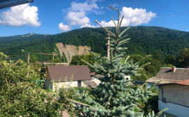 Гостьовий будинок Зима-літо