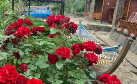 Приватна садиба Світанкове сяйво