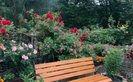 Приватна садиба Світанкове сяйво