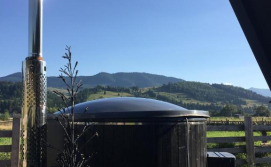 Гостьовий будинок Vulyk