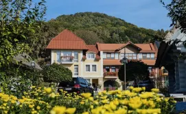 Готель Червона рута