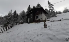 Котедж Шале під Боржавою