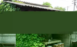 База відпочинку Зелений гай