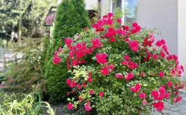 База відпочинку Русалка