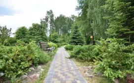 Приватна садиба Лісова казка