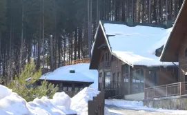 Котедж Шале "Анемона"