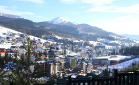 Котедж Шале "Анемона"