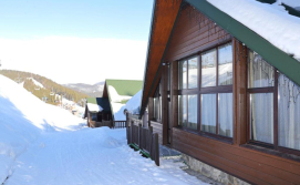 Котедж Шале "Анемона"