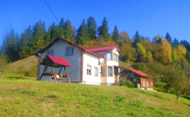 Приватна садиба під Лісочком