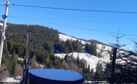 Приватна садиба Затишні Карпати))