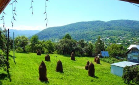 Частная усадьба "Сыкытура"