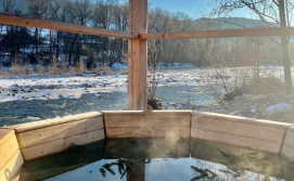 Котедж Шум Черемоша на березі річки