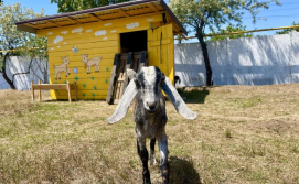 Готель PANORAMA BRIZ