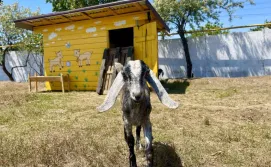 Готель PANORAMA BRIZ