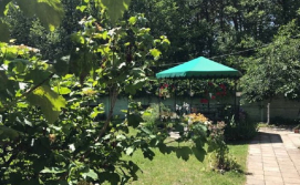 Територія Галицький двір