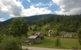 Карпатський маєток в Славську №2