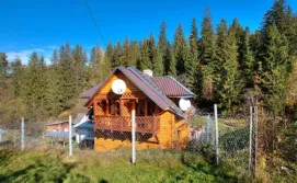 Приватна садиба Карпати