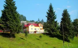 Карпатський маєток в Славську №8