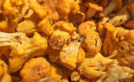 Приватна садиба Еко будинок Наша Дача